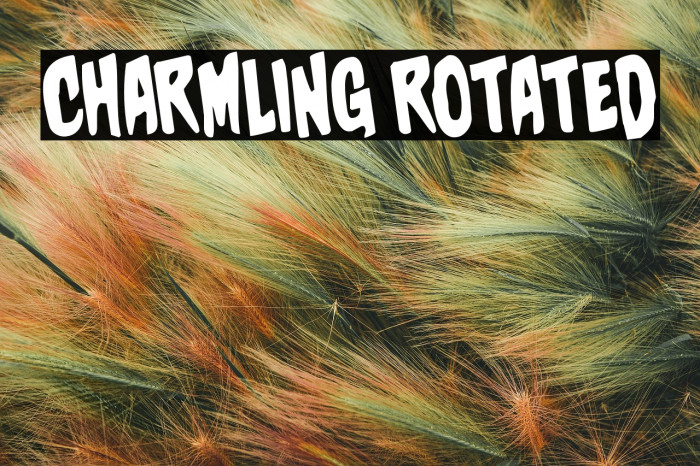 Charmling Rotated Example 3