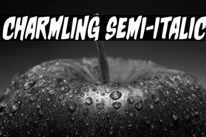 Charmling Semi-Italic Font examples