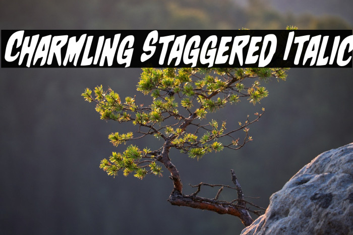 Charmling Staggered Italic Example 2