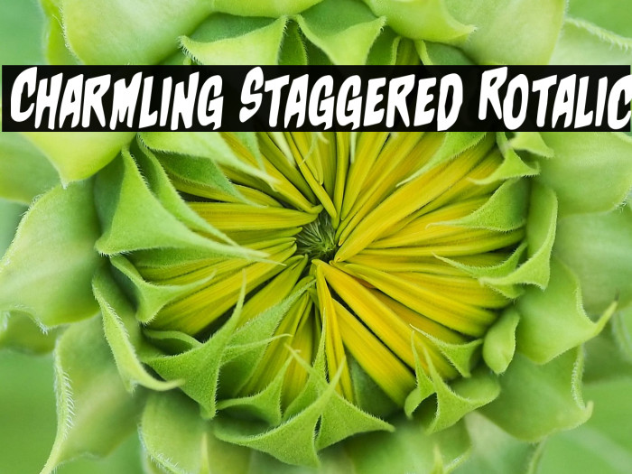 Charmling Staggered Rotalic Example 2