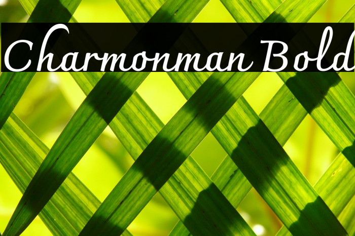 Charmonman Bold Font examples