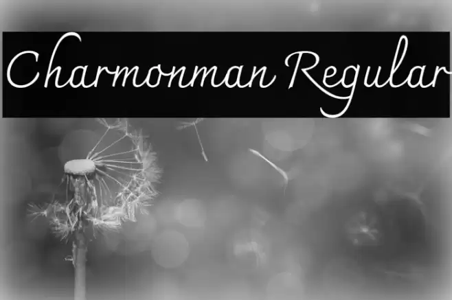 Charmonman Regular Caratteri examples