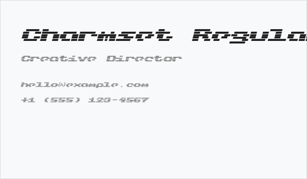 Charmset Regular Business Card