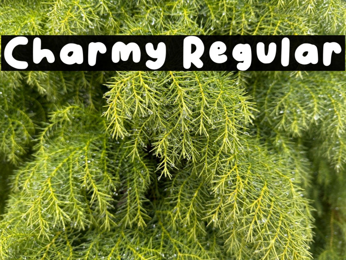 Charmy Regular Example 2