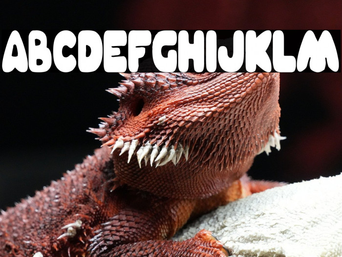 Charnego Nation Example 1