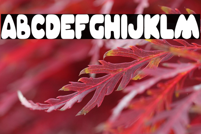 Charnego Nation Example 2