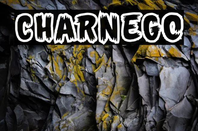 Charnego Example 1