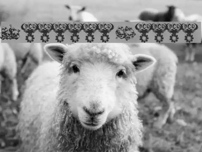 Charnel House Font examples