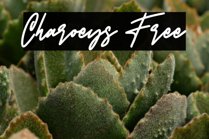 Charoeys Free Example 1