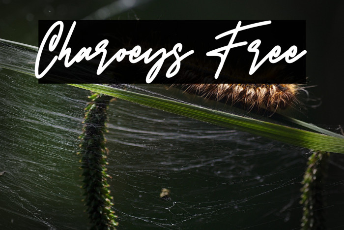 Charoeys Free Example 2