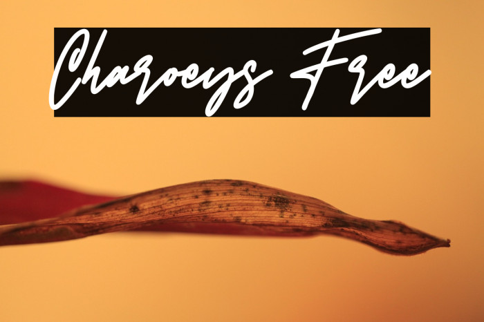 Charoeys Free Example 3