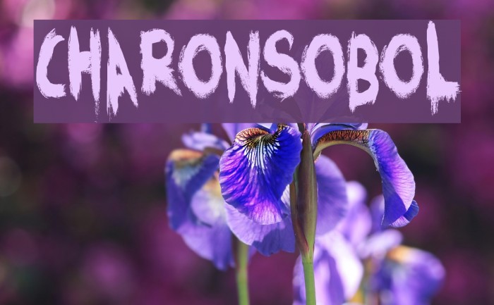 CharonsObol Font examples