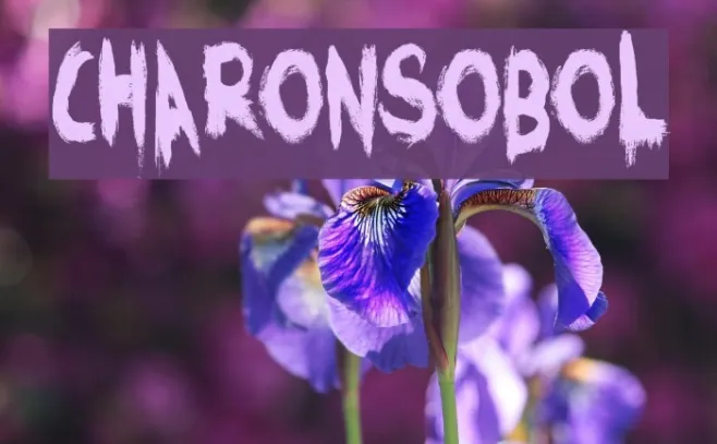 CharonsObol Example 2