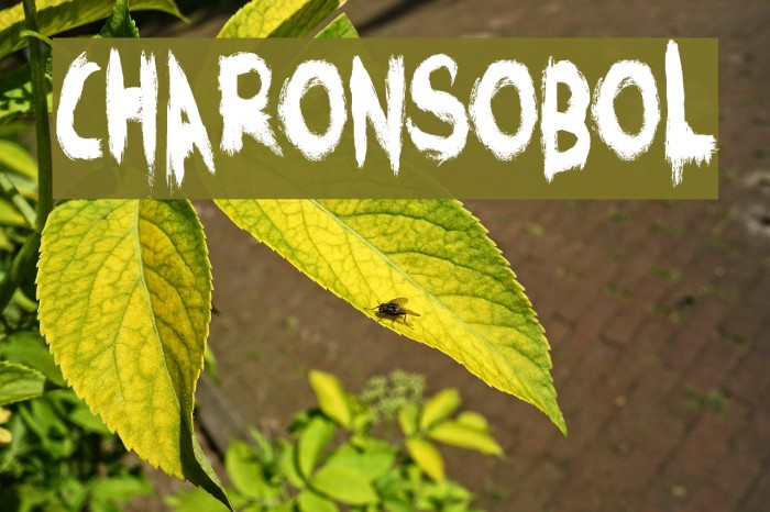 CharonsObol Font examples