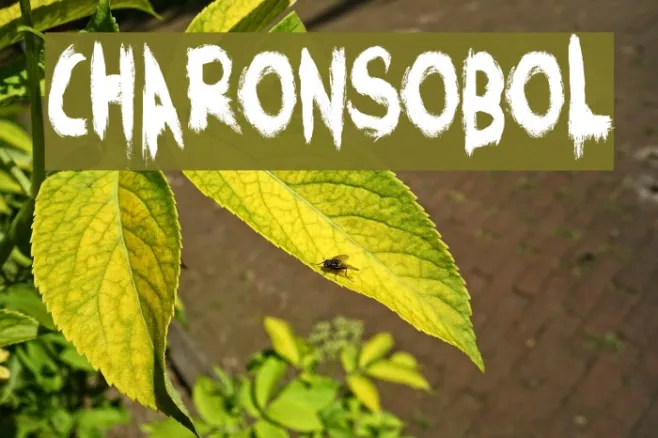 CharonsObol Example 3