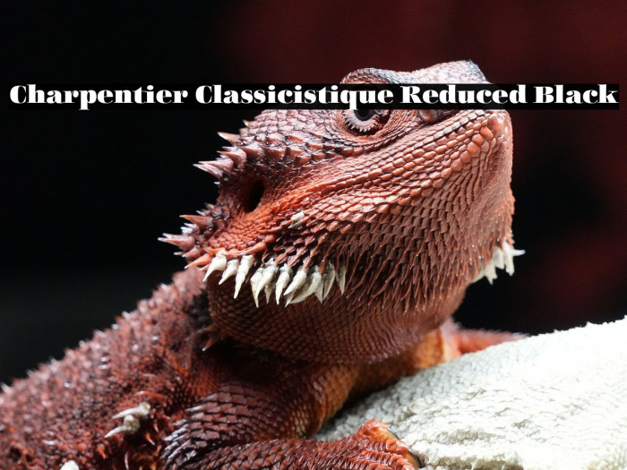 Charpentier Classicistique Reduced Black Example 2