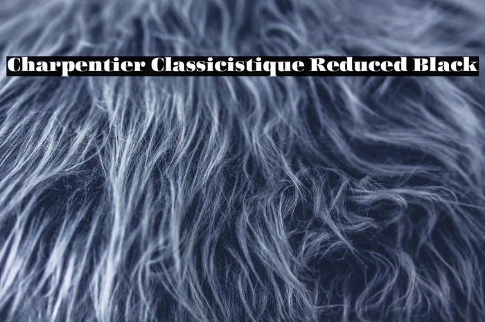 Charpentier Classicistique Reduced Black Example 3