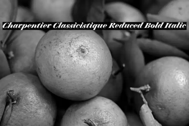 Charpentier Classicistique Reduced Bold Italic Font examples
