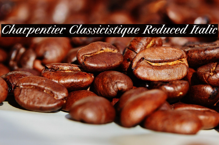 Charpentier Classicistique Reduced Italic Example 3