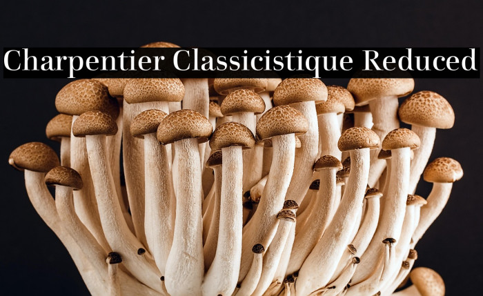 Charpentier Classicistique Reduced Example 1