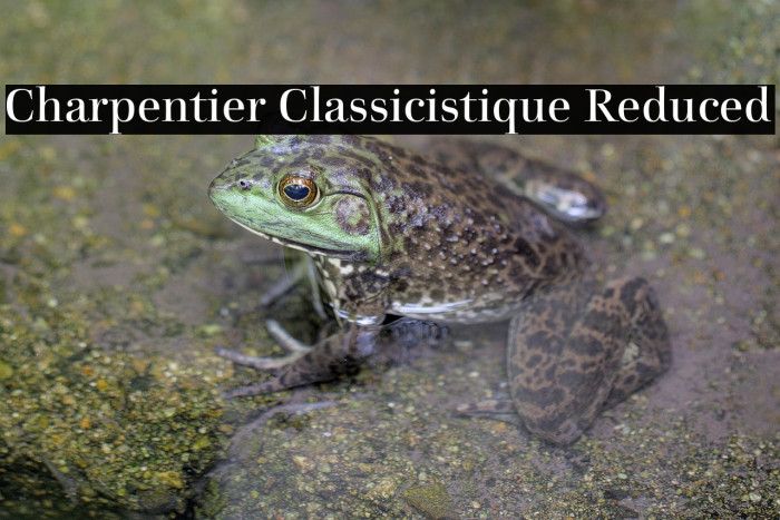 Charpentier Classicistique Reduced Example 2