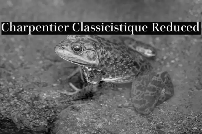 Charpentier Classicistique Reduced Font examples