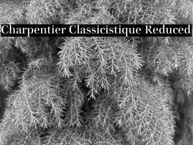 Charpentier Classicistique Reduced Font examples