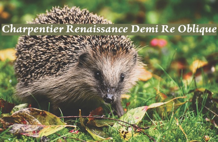 Charpentier Renaissance Demi Re Oblique Font examples