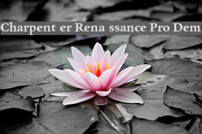 Charpentier Renaissance Pro Demi Font examples