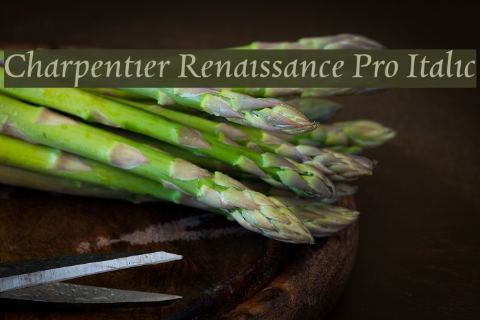 Charpentier Renaissance Pro Italic Font examples