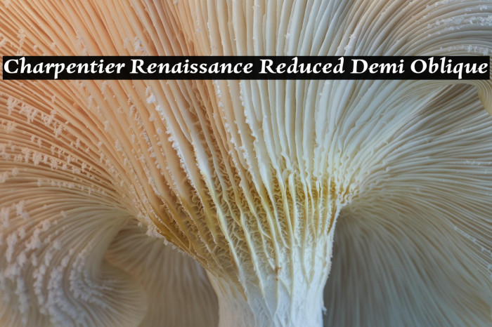 Charpentier Renaissance Reduced Demi Oblique Example 1