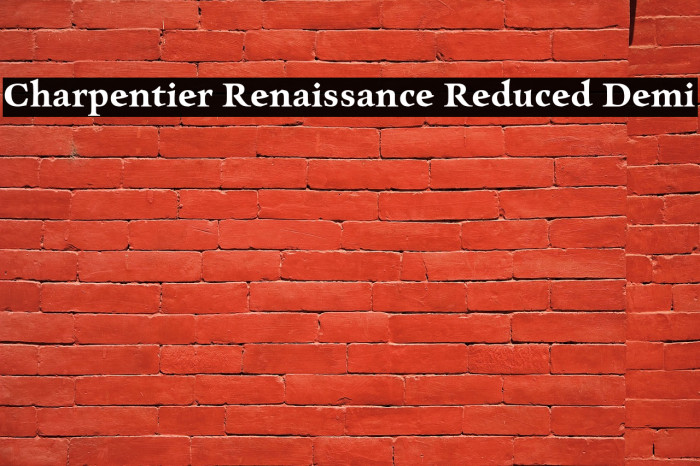 Charpentier Renaissance Reduced Demi Example 3