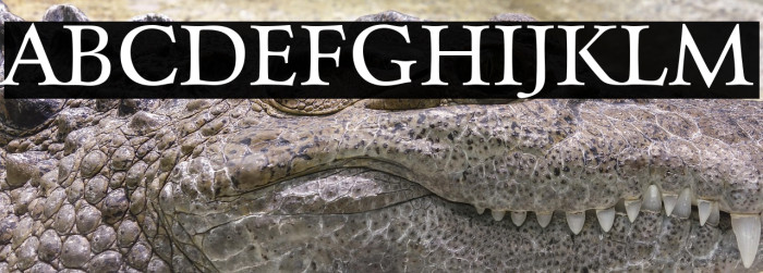 Charpentier Renaissance Reduced Normal Example 1