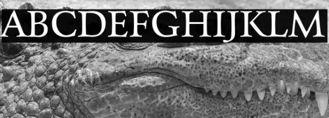 Charpentier Renaissance Reduced Normal Font examples