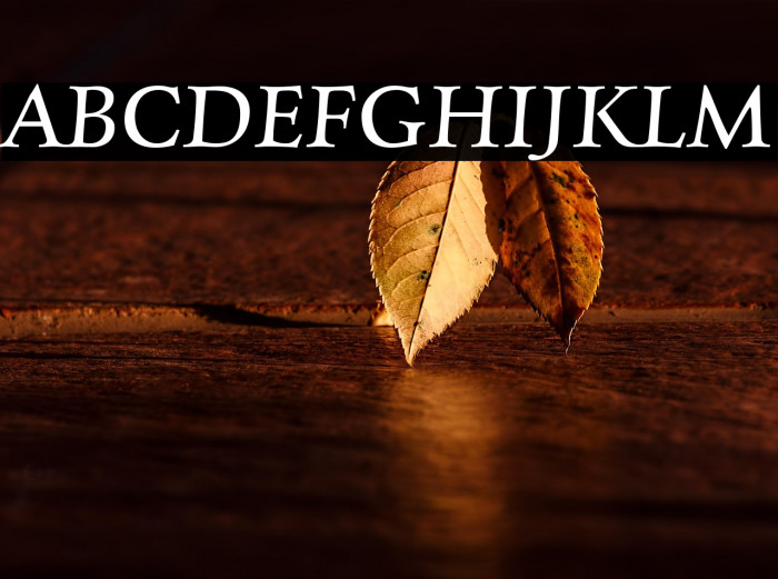 Charpentier Renaissance Reduced Oblique Example 1