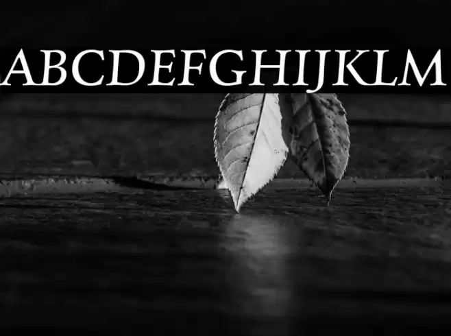 Charpentier Renaissance Reduced Oblique Font examples