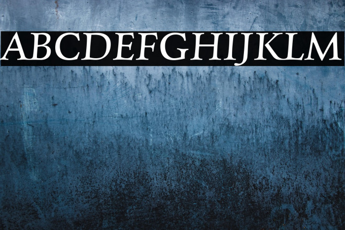 Charpentier Renaissance Reduced Oblique Example 3