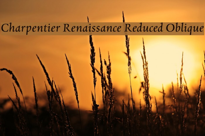 Charpentier Renaissance Reduced Oblique Font examples