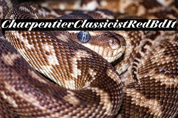 CharpentierClassicistRed-BdIt Example 3