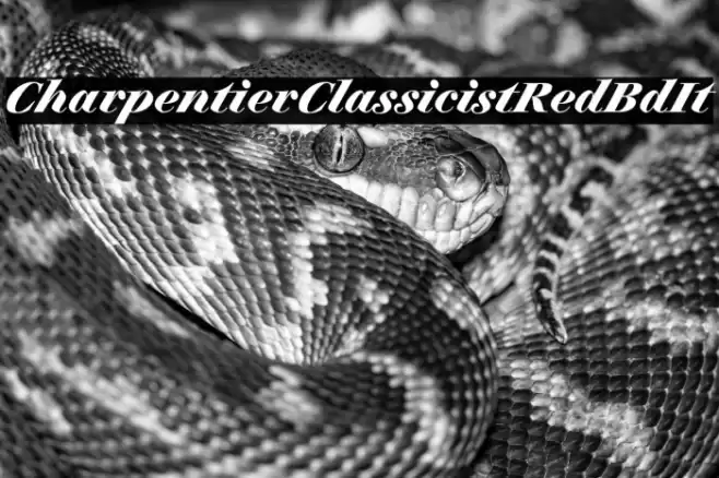 CharpentierClassicistRed-BdIt Font examples