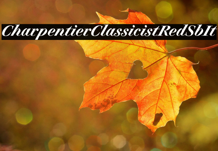 CharpentierClassicistRed-SbIt Example 2