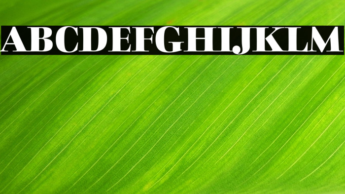 CharpentierClassicistiqueRed Example 2