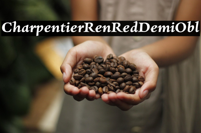 CharpentierRenRed-DemiObl Example 1