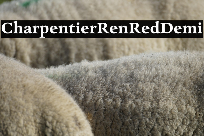 CharpentierRenRed-Demi Example 3