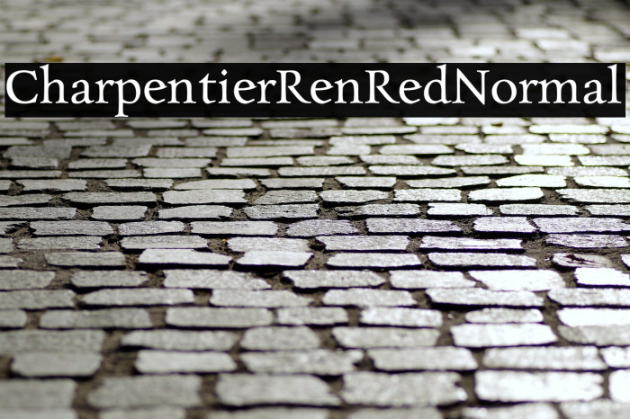 CharpentierRenRed-Normal Example 1