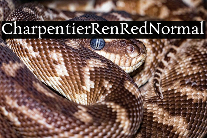 CharpentierRenRed-Normal Example 3