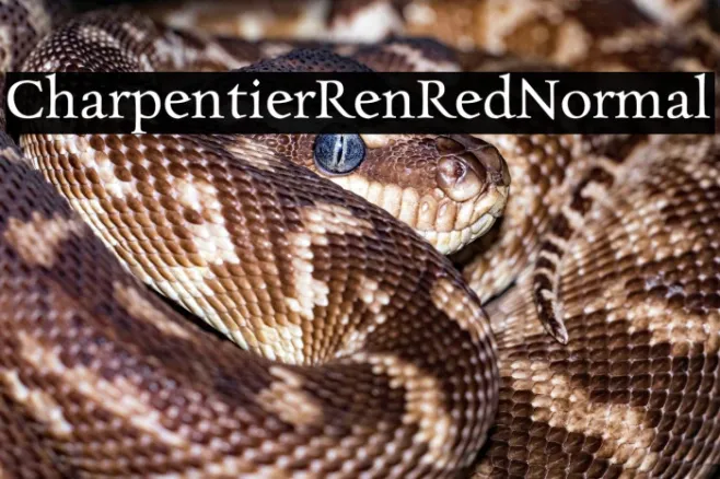 CharpentierRenRed-Normal Example 3