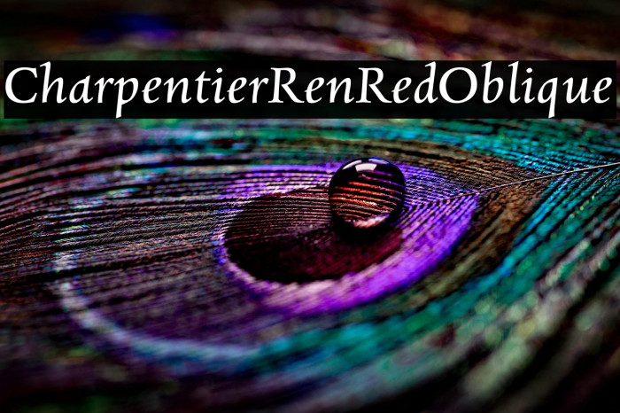 CharpentierRenRed-Oblique Example 3