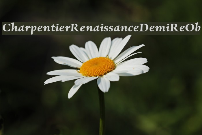 CharpentierRenaissanceDemiRe-Ob Font examples