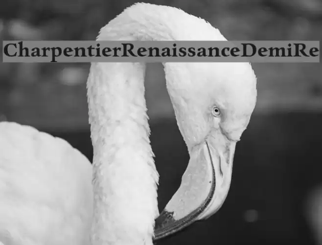 CharpentierRenaissanceDemiRe Font examples